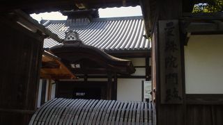 つつじのお庭が最高