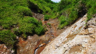 ガッカリするかも