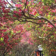 トンネル