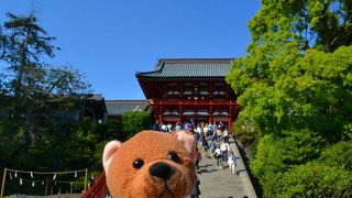 鎌倉に行くと、必ずここに行きます。