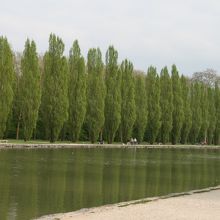 公園内の運河