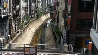 旧東横線のすぐ横に流れる渋谷ど真ん中を通る川不思議な光景、錦鯉までいる