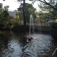 三之鳥居の横にある池