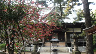 石神井公園の南