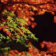 紅葉の名所横蔵寺