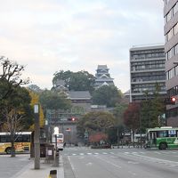 ホテルを出て少し歩いたところからの熊本城の眺望