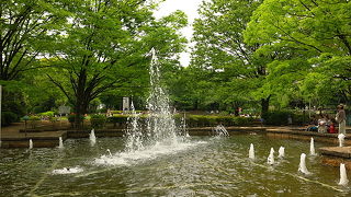 地元に溶け込んだ広い公園