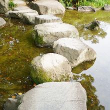飛び石で渡れます