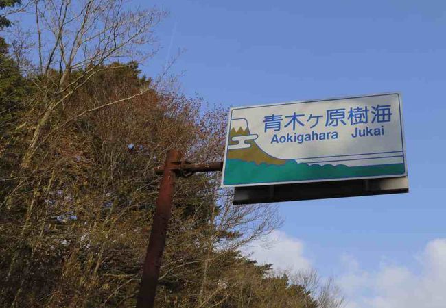 青木ヶ原樹海 クチコミ アクセス 営業時間 富士五湖 フォートラベル 青木ヶ原樹海 クチコミ アクセス 営業時間 富士五湖 フォートラベル