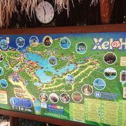シェルハ海洋公園 クチコミ アクセス 営業時間 トゥルム遺跡周辺 フォートラベル シェルハ海洋公園 クチコミ アクセス 営業時間 トゥルム遺跡周辺 フォートラベル