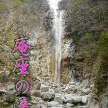 『庵座の滝』40メートル