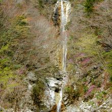 『庵座の滝(上)』と『下流の滝(下)』遠望