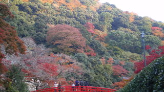秋～冬の紅葉シーズンはにぎわいます