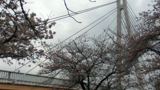 大川を見渡せる、川崎橋