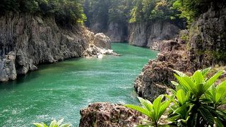 船上から変化に富んだ景色を楽しめる