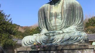 中に入れます。