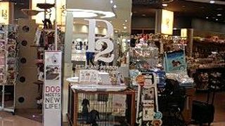 お洒落な植木屋さん！