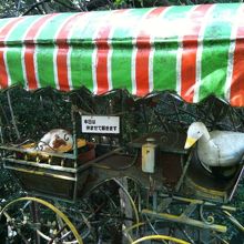 本日は休ませていただきます