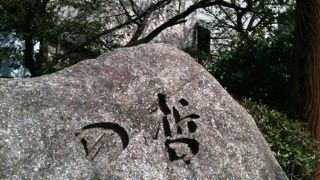 南禅寺方面に南下すると猫が寝ている