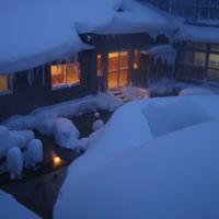 部屋から中庭を見た景色