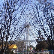 街の中に気軽にいける遊園地が・・「もりのゆうえんち」～野田～