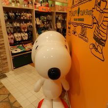 福岡県では唯一のスヌーピータウン By Joecool スヌーピータウンショップ 福岡パルコ店 のクチコミ フォートラベル 福岡県では唯一のスヌーピータウン By Joecool スヌーピータウンショップ 福岡パルコ店 のクチコミ フォートラベル