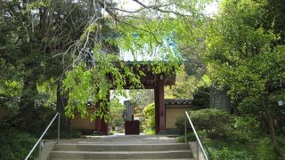 草花の宝庫といわれているそうです