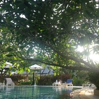 プールが広くて、くつろげました