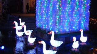 イルミネーションのトンネルが圧巻