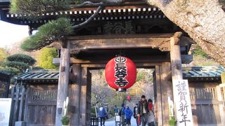 見どころの多いお寺