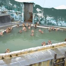 温泉に入るサル