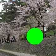 桜の名所、夙川にある公園です。