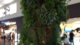 ＪＡＬの出発ゲートには、この英国チェルシーフラワーショーにて3年連続ゴールドメダル受賞しております。