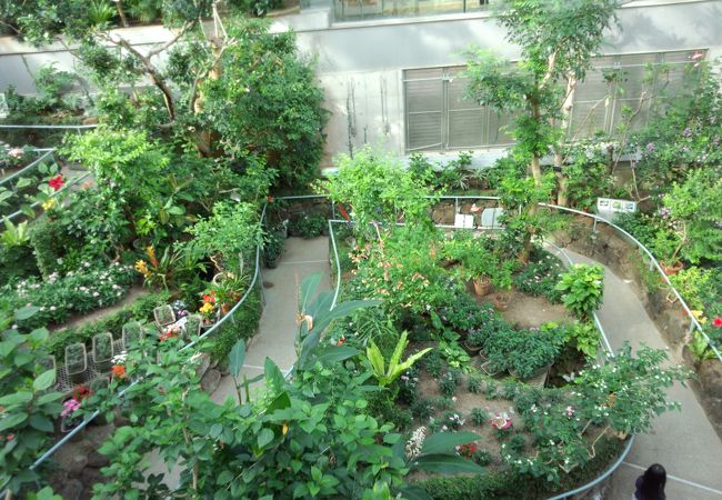 石川県ふれあい昆虫館 クチコミ アクセス 営業時間 松任 鶴来 フォートラベル