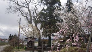 春日八郎記念公園 おもいで館