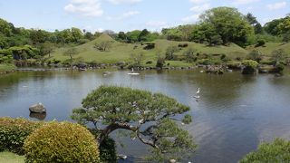 静かな庭園