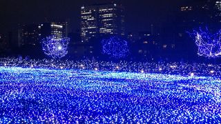 東京のクリスマスイルミネーションNO1！