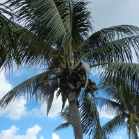 爽やか　でも金持ちの島？