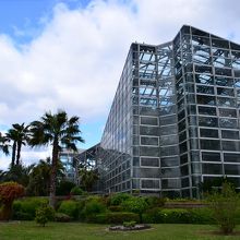 日本最大級の温室