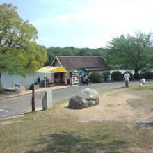 安政柑や辛味大根など珍しい物の購入経験あり