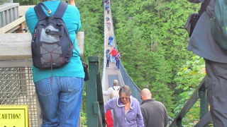 森林と渓谷の自然に囲まれパワーをもらえる吊り橋