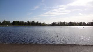 のどかな雰囲気