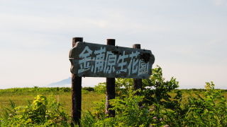 初夏がオススメ