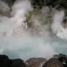 実物はもっときれいなブルーでした