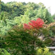 温泉街が残る長野温泉の天然温泉 河内長野荘