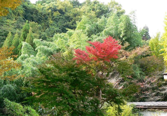 温泉街が残る長野温泉の天然温泉 河内長野荘