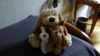 ホテル クン カール ワールドホテルズ クラフテド