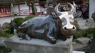 頭がよくなりますように！とお願いしに行ってきました