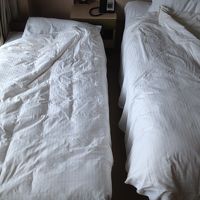 この小さなエキストラベッドが意外に高かった。。