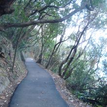灯台までの遊歩道はよく整備されていて普通の靴で歩けます。